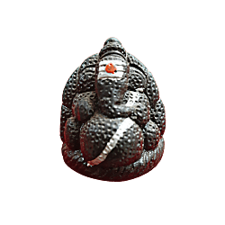 Lord Ganesha/Kanipakam Ganapathi Idol