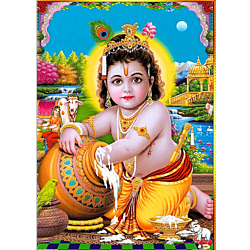 Lord Krishna Photo Picture 9 x 11 size