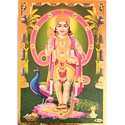 Lord Karthikeya with Gold Colour Jari Photo Picture 9 x 11 Size