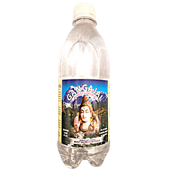 Pure Gangajal for Pooja/Homa/Hawan 100ml Bottle