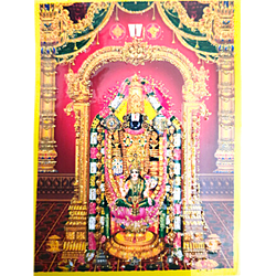 Lord Balaji/Vengateswara Pocket Size Photo Card