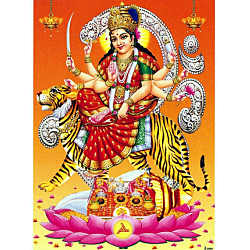 Goddess Durga Devi Photo Picture 9 x 11 Size