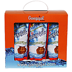 Gangajal 100% Pure Natural (10x200ml Pouches) for Pooja/Hawan/Gifting